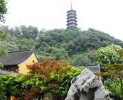 蒙城明天天气